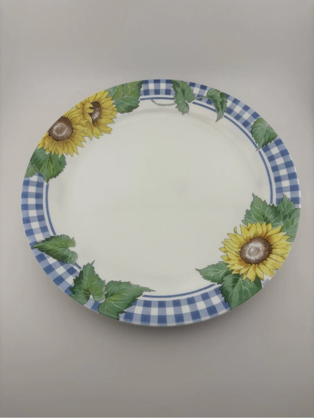 Corelle by Corning Sunsational Dinner Plate 10.5” - set of 2